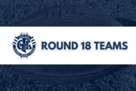 Geelong Football Netball League Round 18 Teams