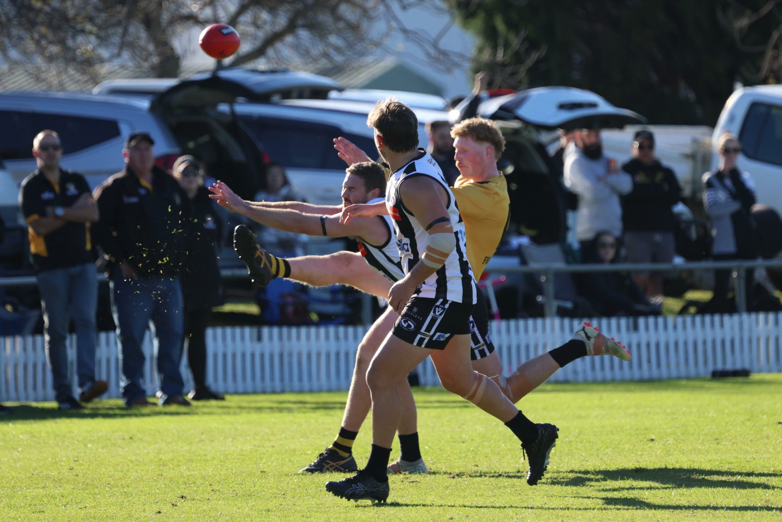 North Geelong versus Bannockburn