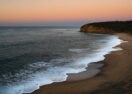 Torquay Property Market