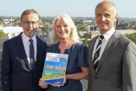 Geelong mental health support