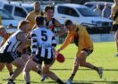 East Geelong vs North Geelong