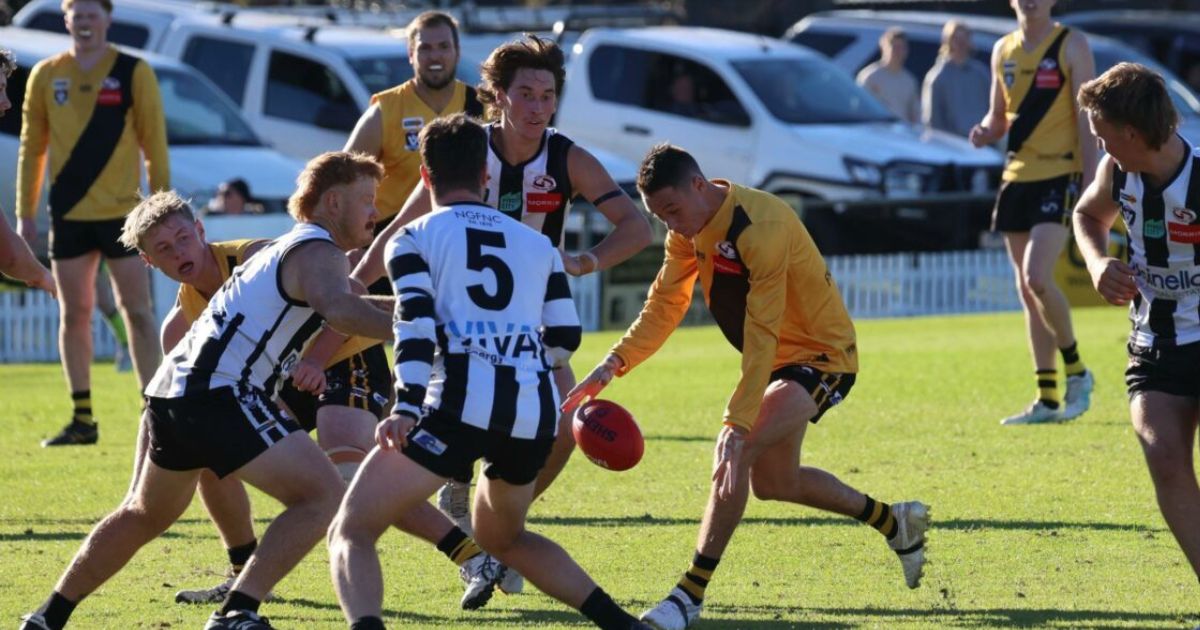 East Geelong vs North Geelong
