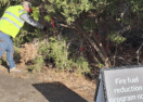 Surf Coast bushfire preparation