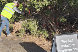 Surf Coast bushfire preparation