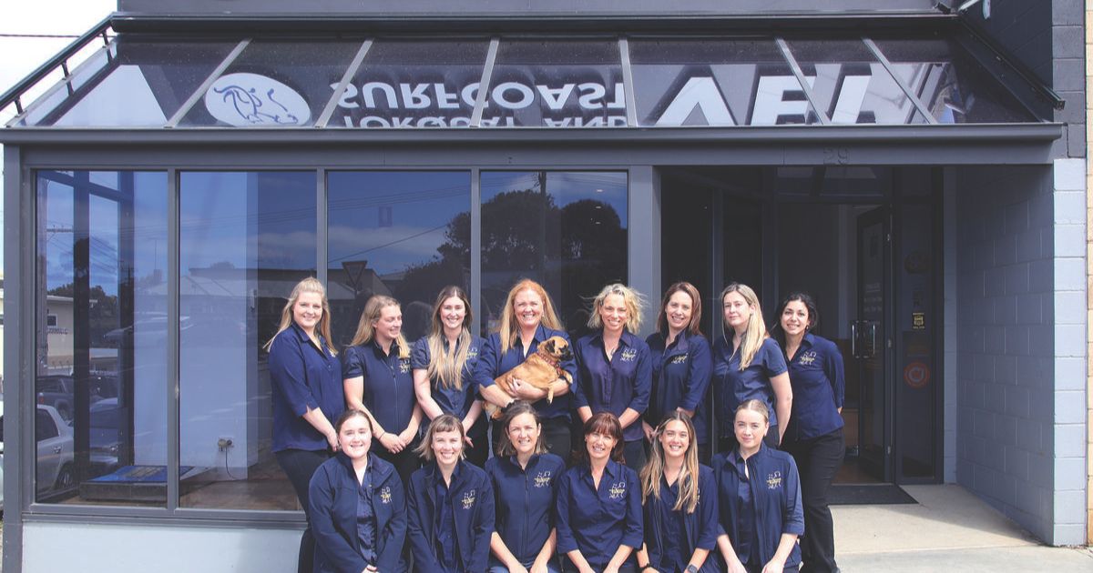 Surf Coast veterinary care
