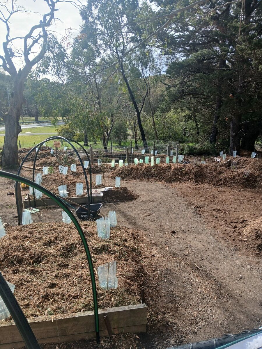 A path winds down the hillside through the garden to a quiet space.