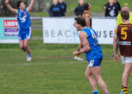BFL season review