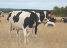 Drought Employment Program