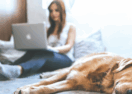 Work From Home Laws