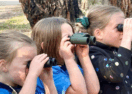 Junior Landcare project