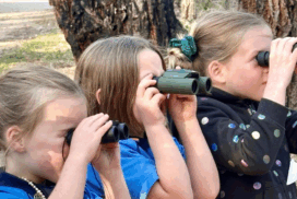 Junior Landcare project