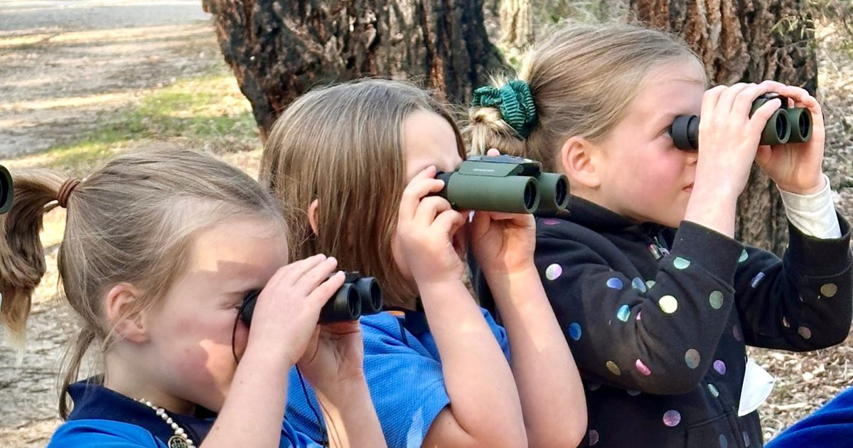 Junior Landcare project