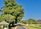 Burringbar NSW Travel