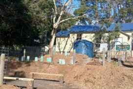 Bellbrae Church Garden