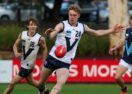 All-Australian Tom Steinfort