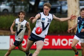 All-Australian Tom Steinfort