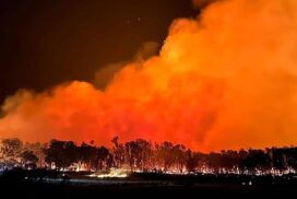 Bushfire survival plan