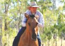 Geelong show horseman