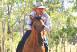 Geelong show horseman