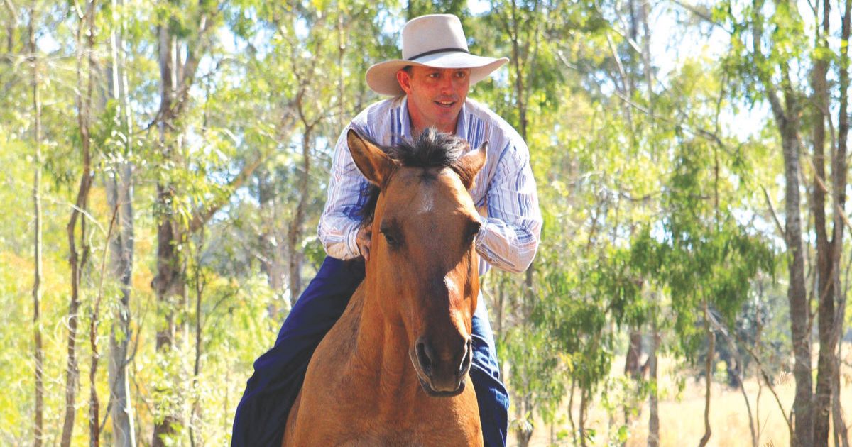 Geelong show horseman