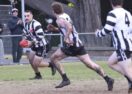 Geelong football finals