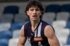 Geelong Falcons finals