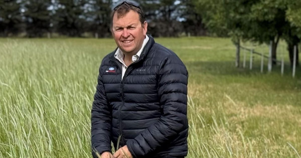 Pasture Open Day