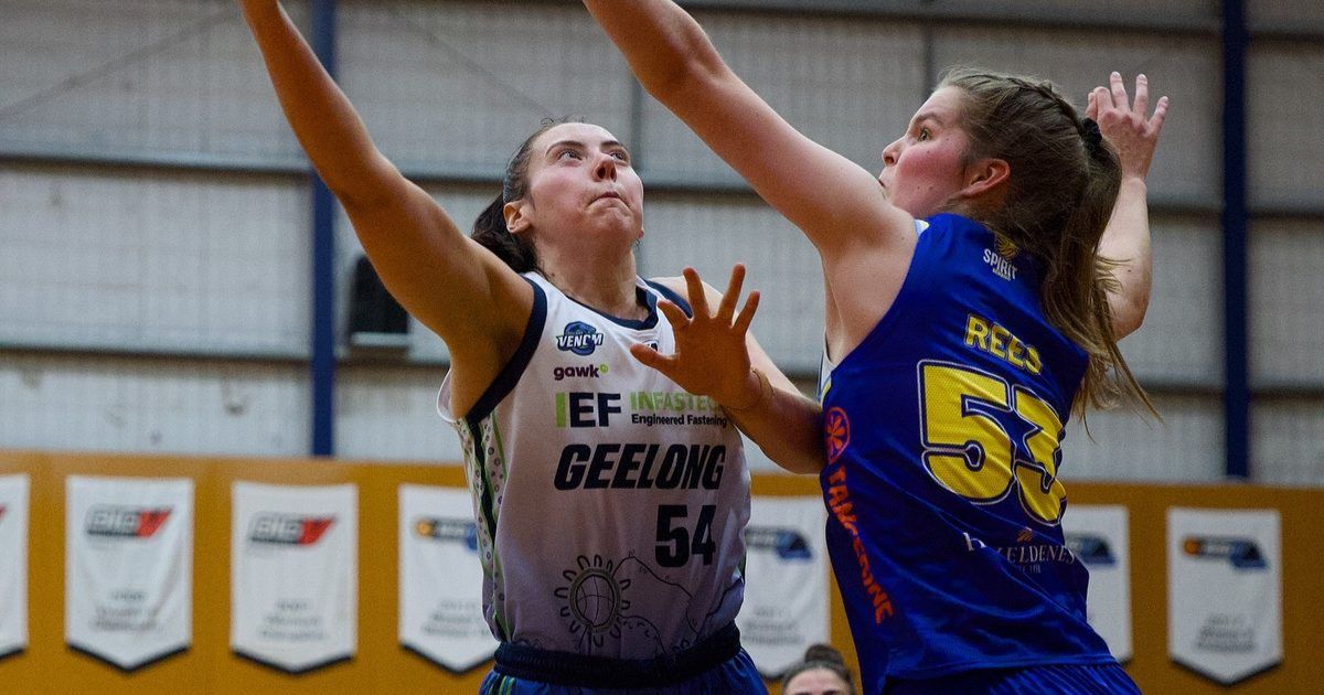 Geelong Venom WNBL