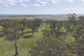 Colac-Otway Land for Sale