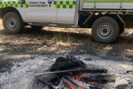 Campfire safety Victoria