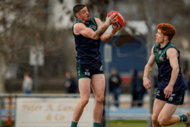 GFL Finals Standouts