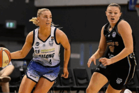 Geelong Venom WNBL