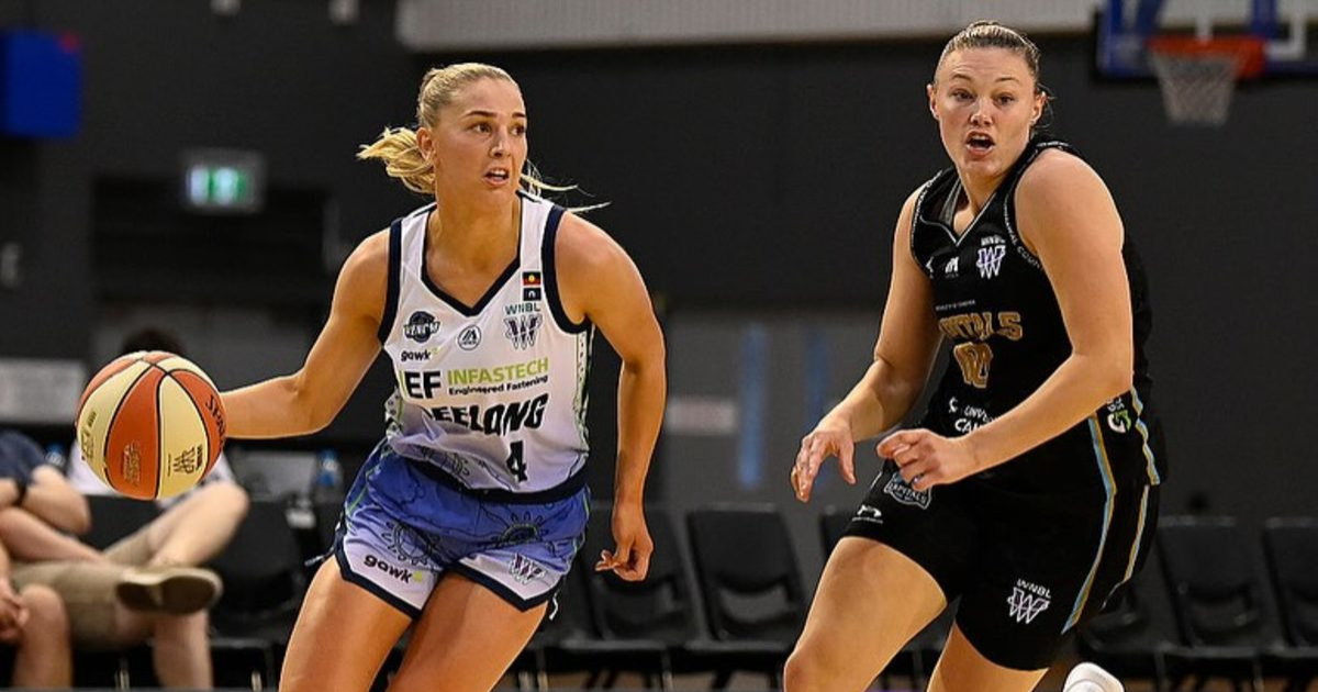 Geelong Venom WNBL