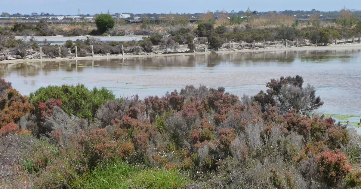 Bellarine wetlands Ramsar