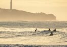 Aireys Inlet survey