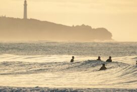 Aireys Inlet survey