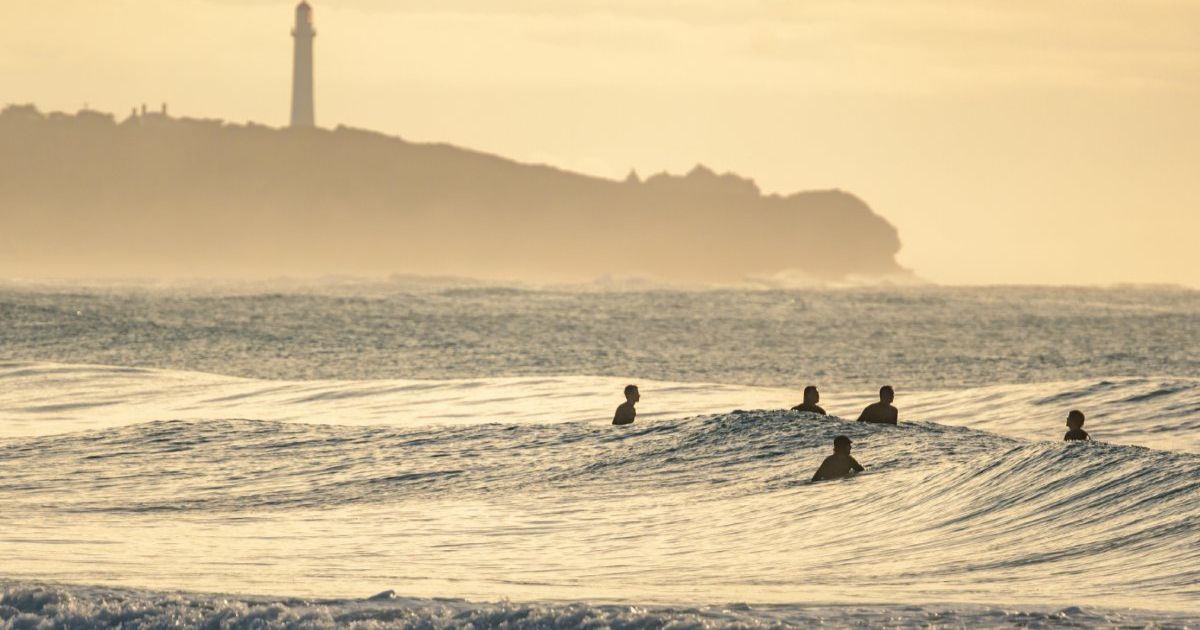 Aireys Inlet survey
