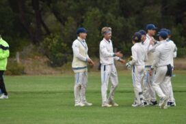 BPCA cricket grand final rematch