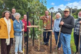 Surf Coast tree planting Deans Marsh Winchelsea