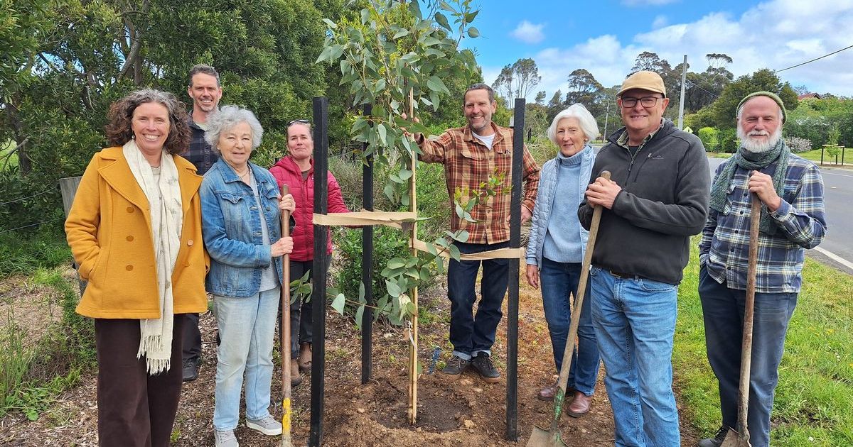 Surf Coast tree planting Deans Marsh Winchelsea