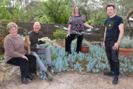 Torquay Open Gardens