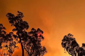 Surf Coast bushfire warning