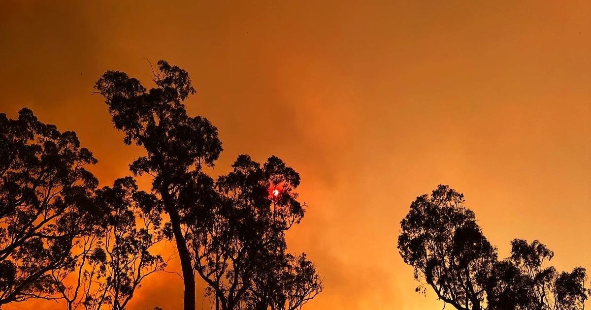 Surf Coast bushfire warning
