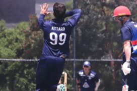 Geelong Premier Cricket