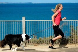 Surf Coast dog timeshare