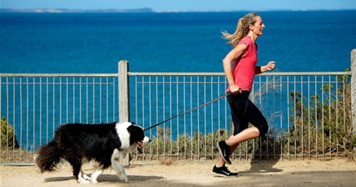 Surf Coast dog timeshare