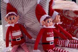 Winchelsea Elf Trail