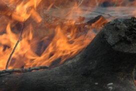 fire season preparation