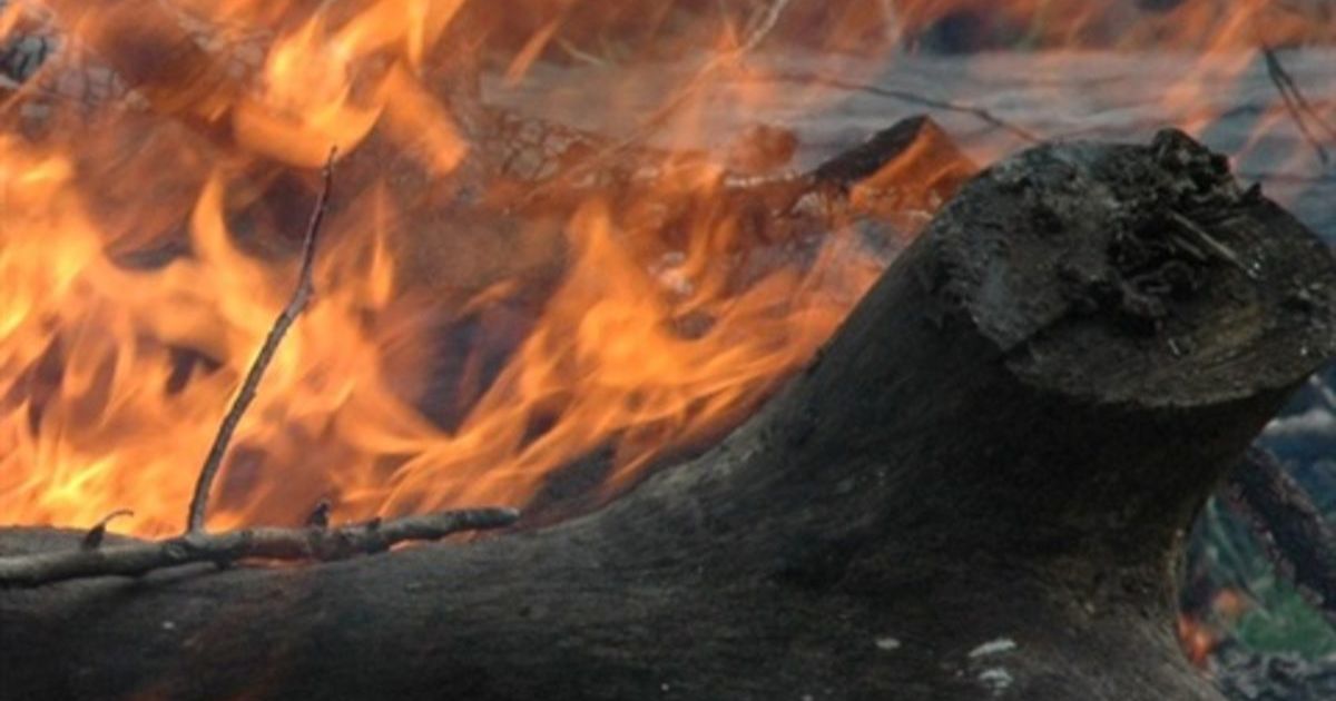 fire season preparation