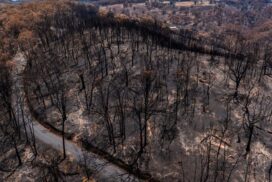 Otway bushfires climate change analysis
